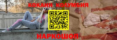 крисы Моздок