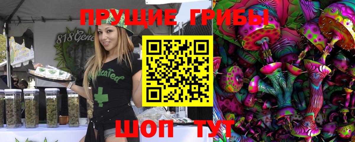 Троицк  Псилоцибиновые грибы Psilocybe  Вход с VPN 