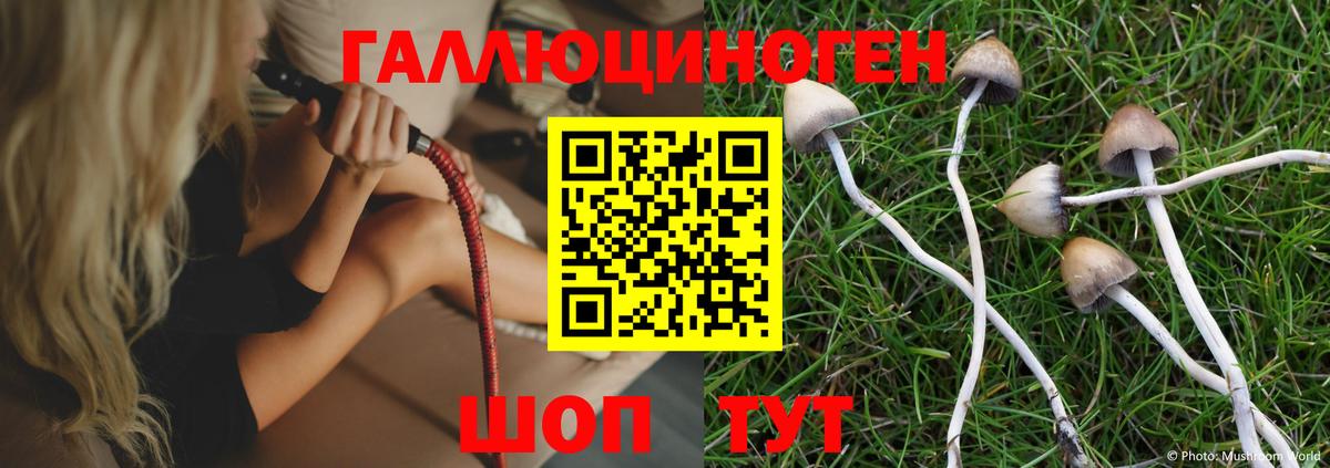 Псилоцибиновые грибы мицелий Троицк